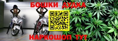 сатива Аргун