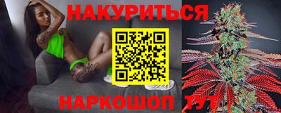 сатива Аргун