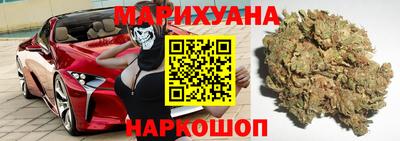 сатива Аргун