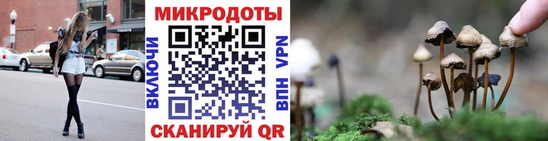 что такое Богородицк OMG ТОР Галлюциногенные грибы Magic Shrooms