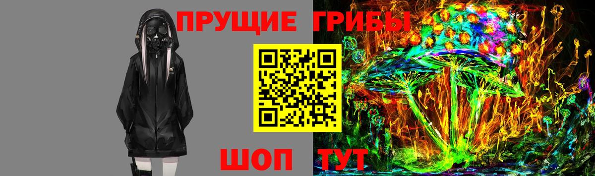 Псилоцибиновые грибы GOLDEN TEACHER  Вход с VPN  Галлюциногенные грибы мицелий  Богородицк 