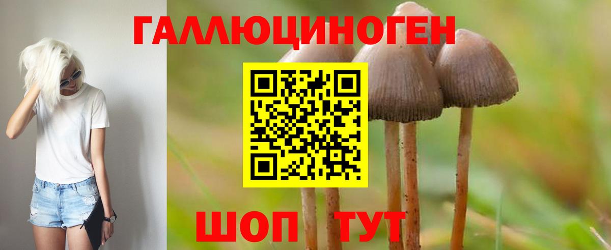 Псилоцибиновые грибы мухоморы Богородицк